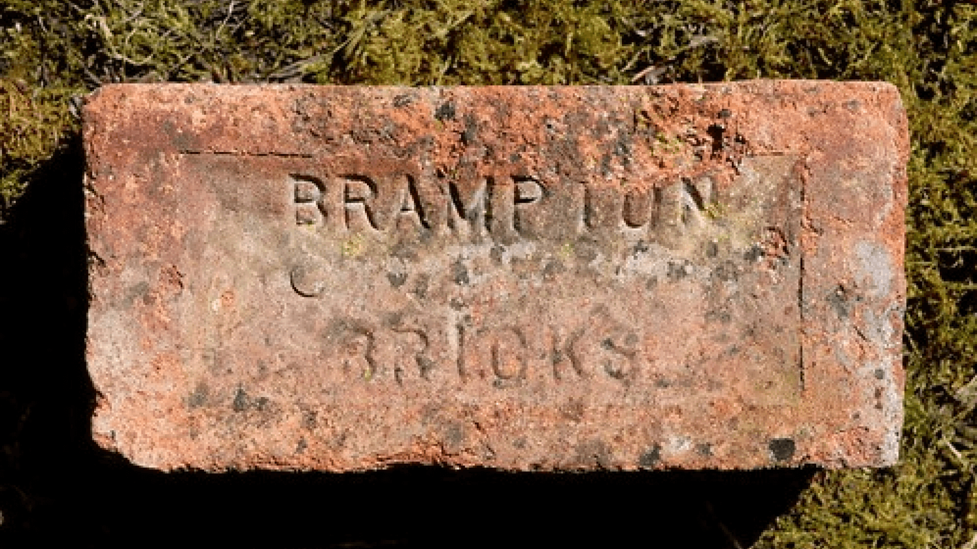 Brampton Brick - Interior Addition